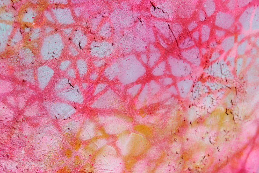 Echoes of Enchantment